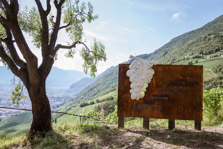 Weinwanderweg Ritten