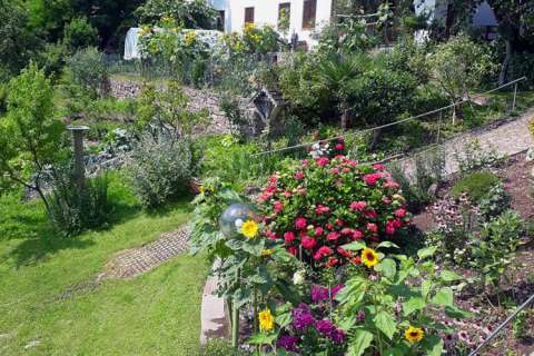 Blumenpracht im Garten