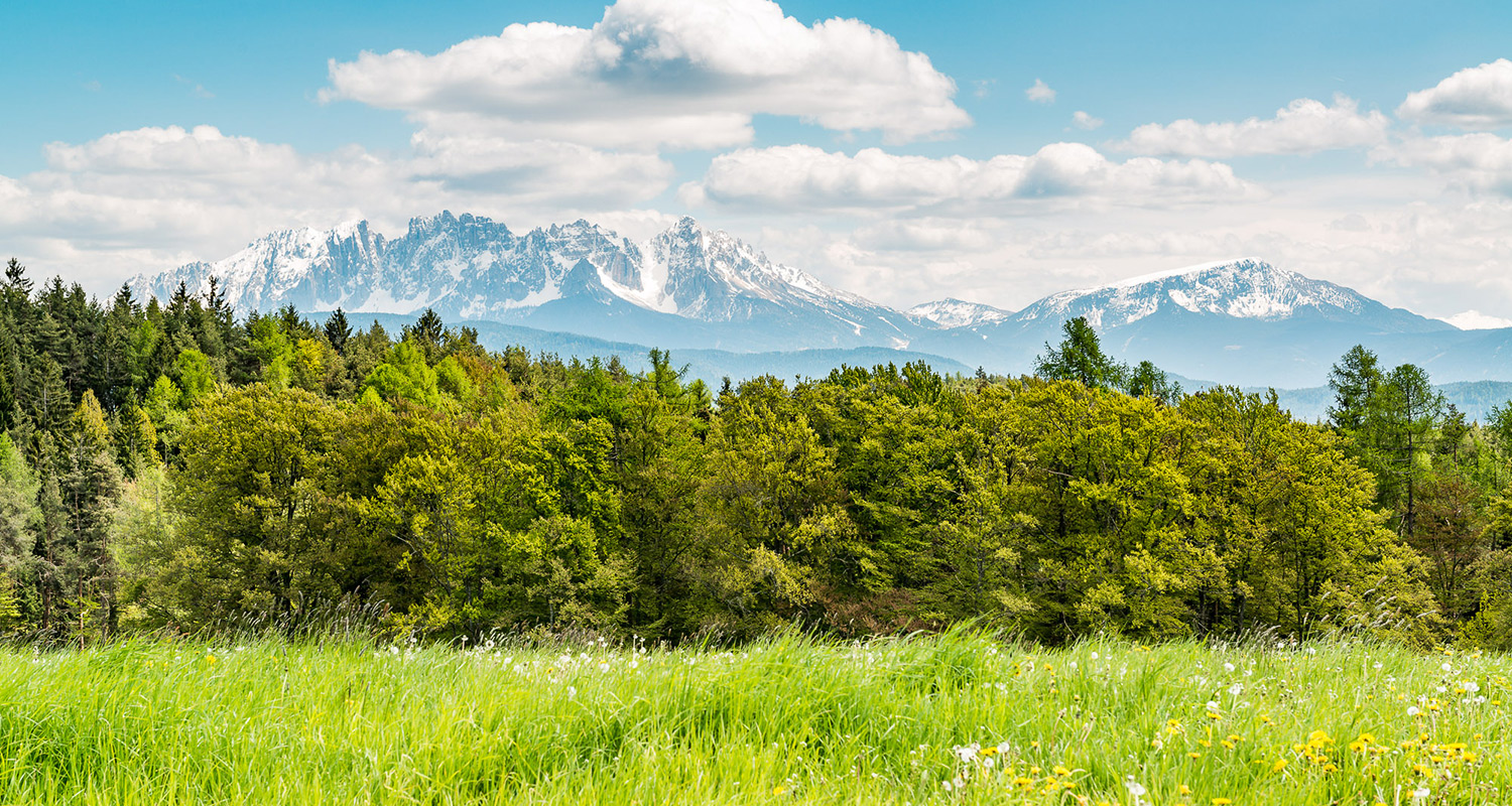 Wanderwege am Ritten