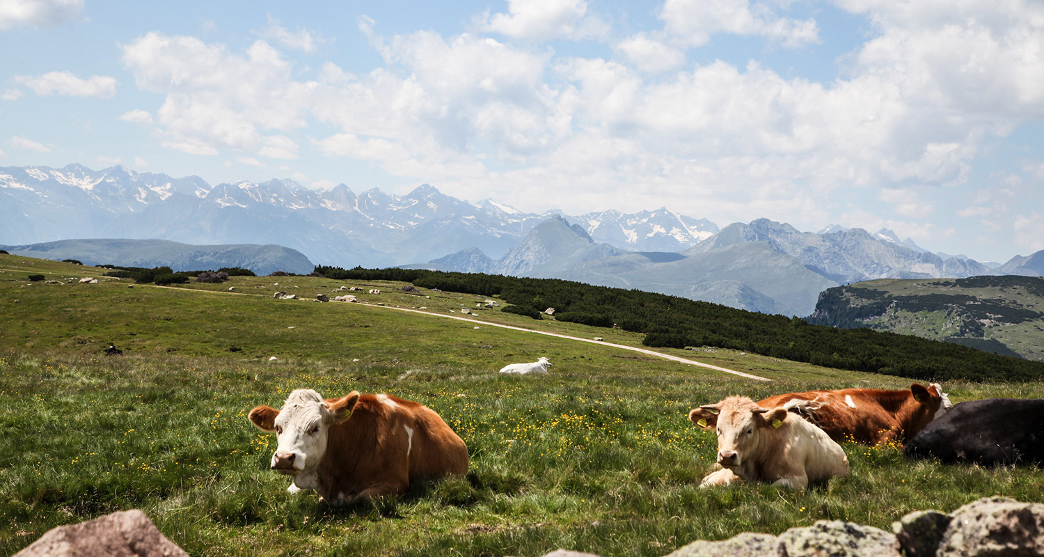 Sentiero panoramico del Corno del Renon