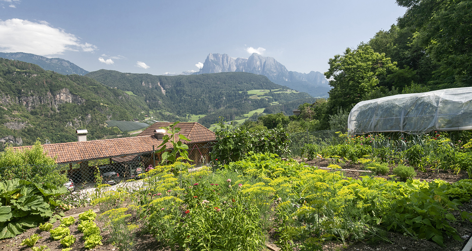 Bauerngarten mit Gemüse