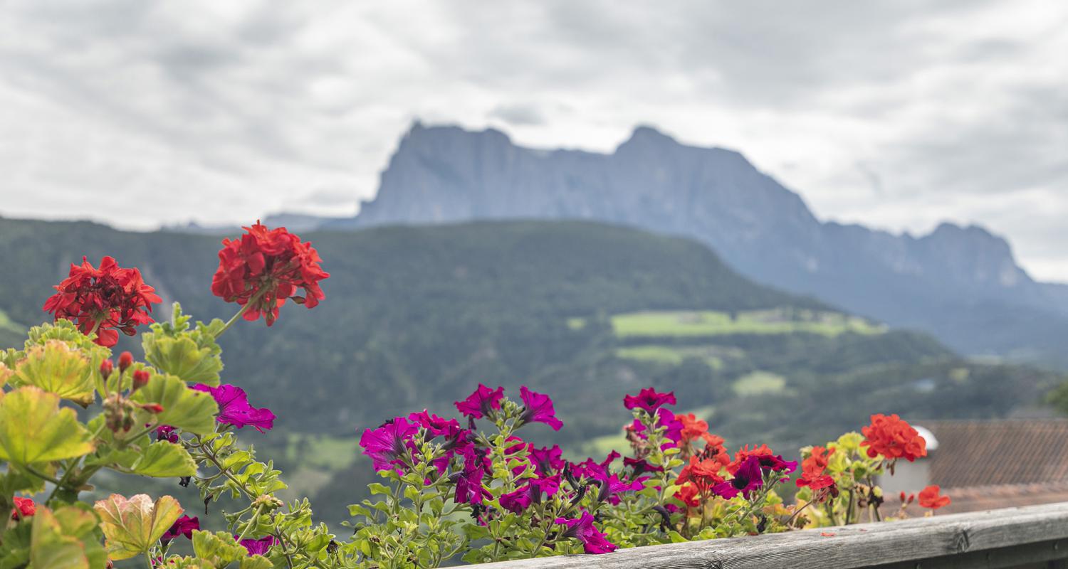 Panorama vom Balkon der Ferienwohnung Schlernblick